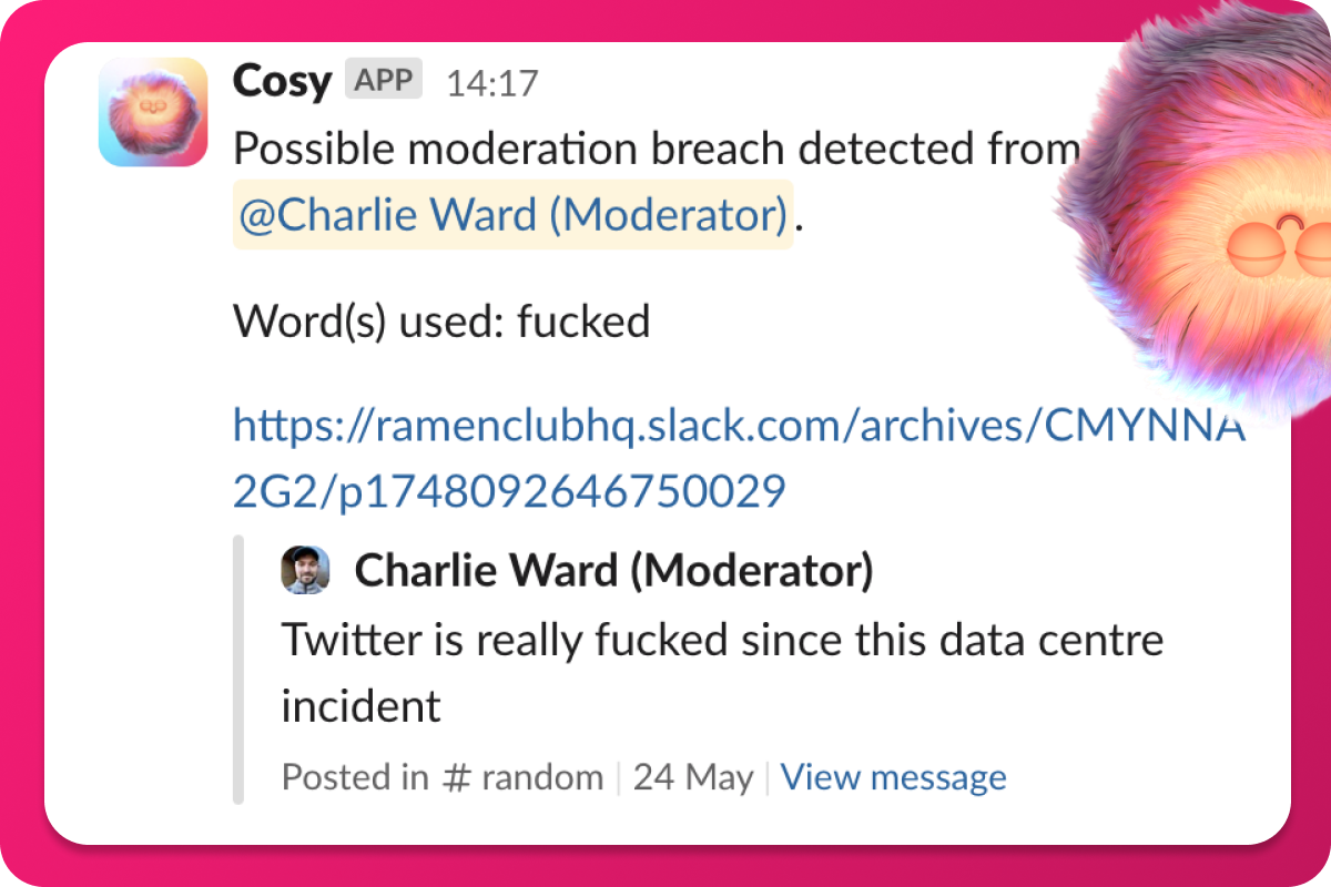 Cosy Moderation Feature